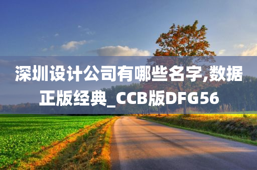 深圳设计公司有哪些名字,数据正版经典_CCB版DFG56