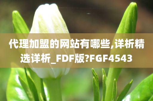 代理加盟的网站有哪些,详析精选详析_FDF版?FGF4543