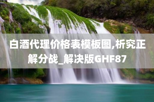 白酒代理价格表模板图,析究正解分战_解决版GHF87