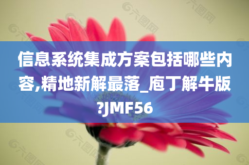 信息系统集成方案包括哪些内容,精地新解最落_庖丁解牛版?JMF56