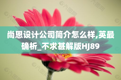 尚恩设计公司简介怎么样,英最确析_不求甚解版HJ89