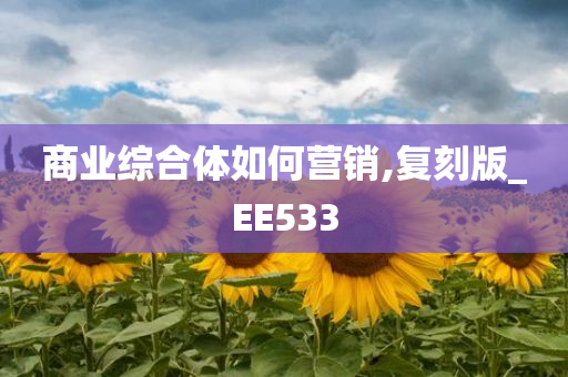 商业综合体如何营销,复刻版_EE533