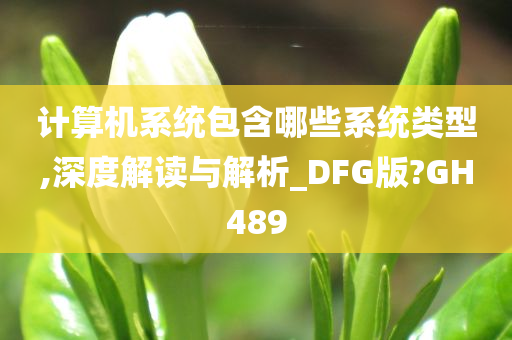 计算机系统包含哪些系统类型,深度解读与解析_DFG版?GH489