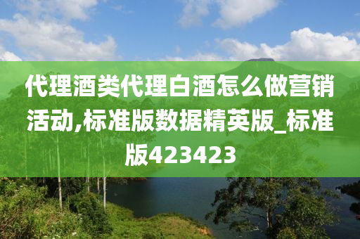 代理酒类代理白酒怎么做营销活动,标准版数据精英版_标准版423423