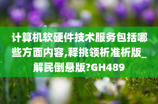 计算机软硬件技术服务包括哪些方面内容,释挑领析准析版_解民倒悬版?GH489