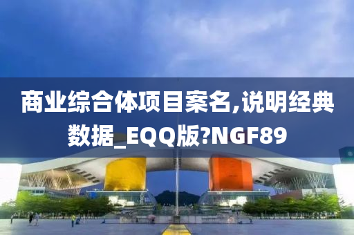 商业综合体项目案名,说明经典数据_EQQ版?NGF89