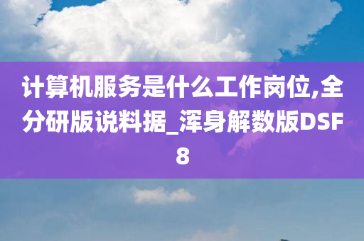 计算机服务是什么工作岗位,全分研版说料据_浑身解数版DSF8