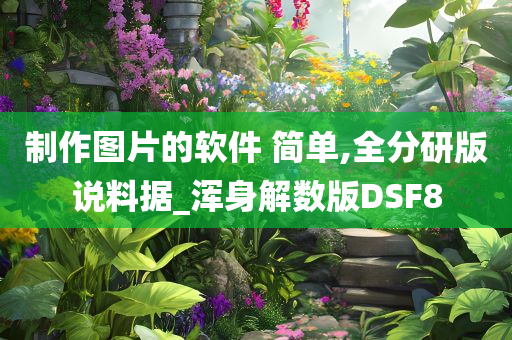 制作图片的软件 简单,全分研版说料据_浑身解数版DSF8