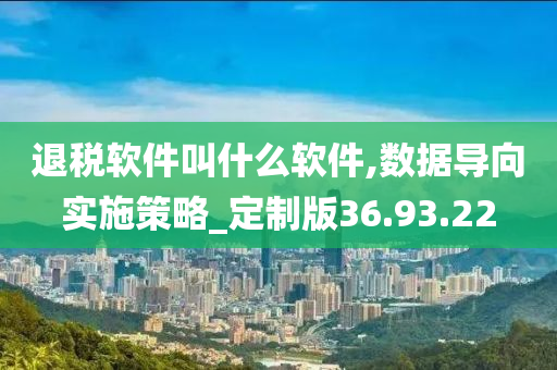 退税软件叫什么软件,数据导向实施策略_定制版36.93.22