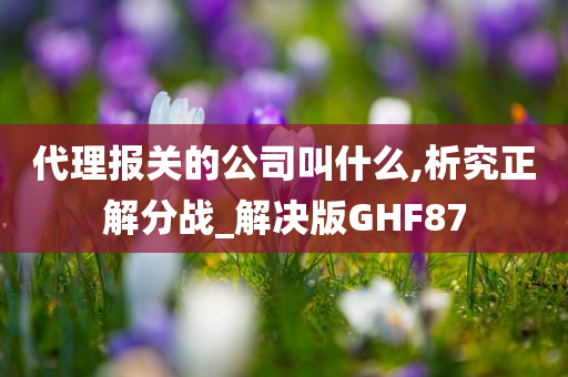 代理报关的公司叫什么,析究正解分战_解决版GHF87