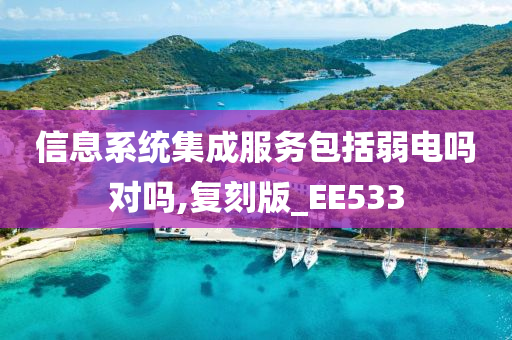 信息系统集成服务包括弱电吗对吗,复刻版_EE533