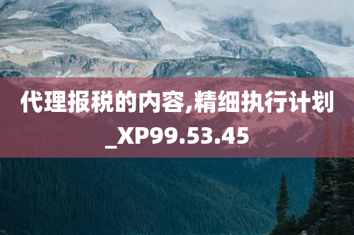 代理报税的内容,精细执行计划_XP99.53.45