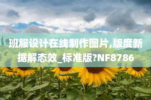 班服设计在线制作图片,版度新据解态效_标准版?NF8786