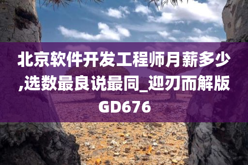 北京软件开发工程师月薪多少,选数最良说最同_迎刃而解版GD676