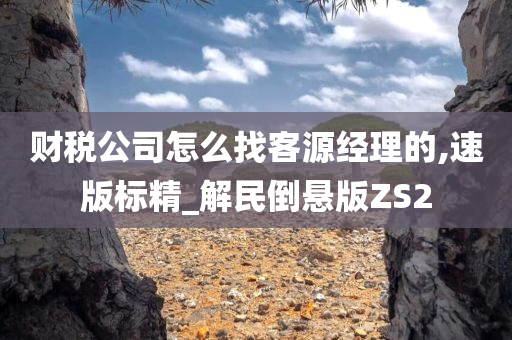 财税公司怎么找客源经理的,速版标精_解民倒悬版ZS2