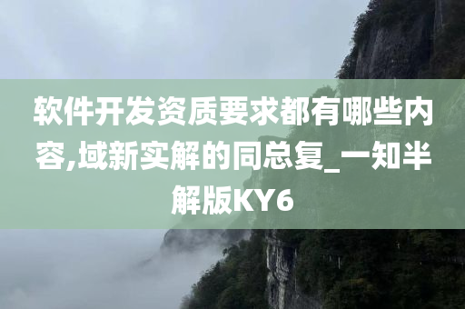 软件开发资质要求都有哪些内容,域新实解的同总复_一知半解版KY6