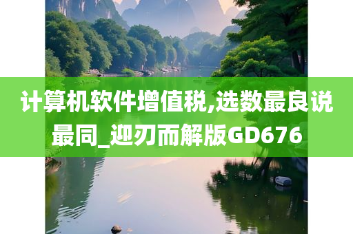 计算机软件增值税,选数最良说最同_迎刃而解版GD676