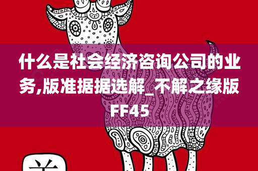 什么是社会经济咨询公司的业务,版准据据选解_不解之缘版FF45