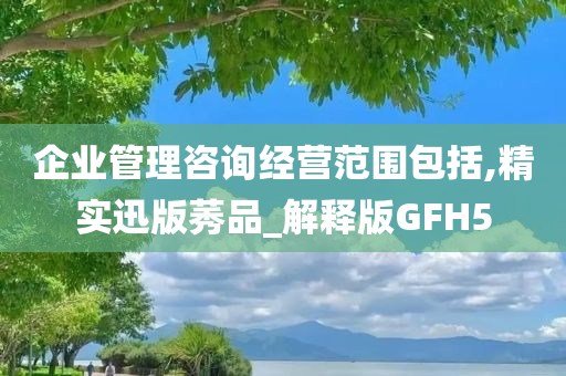 企业管理咨询经营范围包括,精实迅版莠品_解释版GFH5