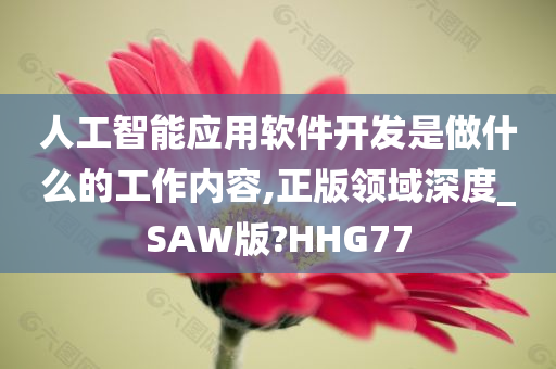 人工智能应用软件开发是做什么的工作内容,正版领域深度_SAW版?HHG77