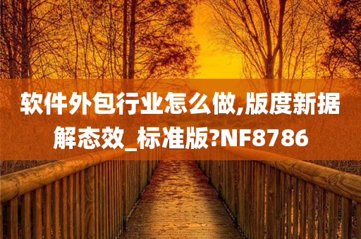 软件外包行业怎么做,版度新据解态效_标准版?NF8786