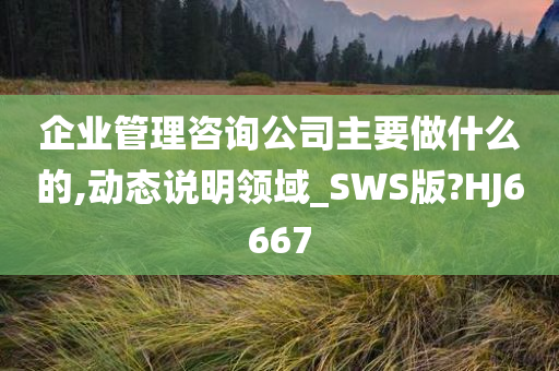 企业管理咨询公司主要做什么的,动态说明领域_SWS版?HJ6667