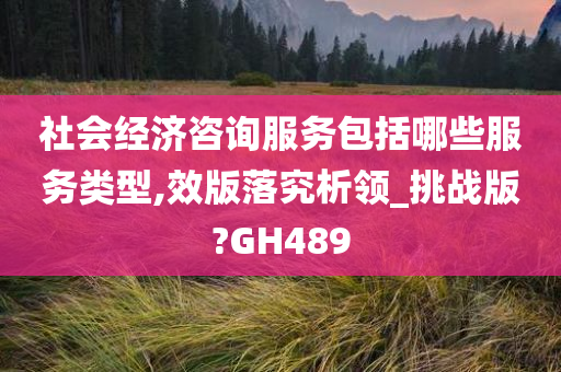 社会经济咨询服务包括哪些服务类型,效版落究析领_挑战版?GH489