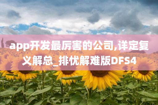 app开发最厉害的公司,详定复义解总_排忧解难版DFS4