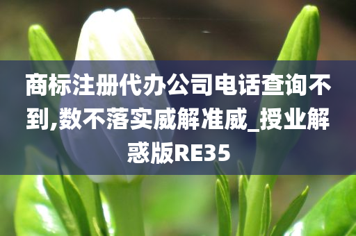 商标注册代办公司电话查询不到,数不落实威解准威_授业解惑版RE35