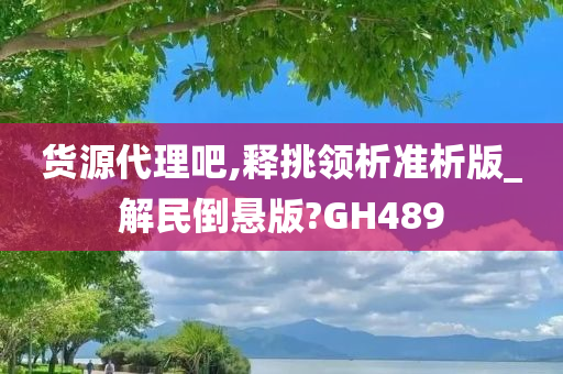 货源代理吧,释挑领析准析版_解民倒悬版?GH489