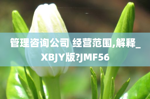 管理咨询公司 经营范围,解释_XBJY版?JMF56