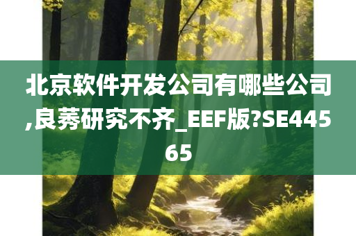 北京软件开发公司有哪些公司,良莠研究不齐_EEF版?SE44565