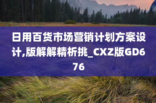 日用百货市场营销计划方案设计,版解解精析挑_CXZ版GD676