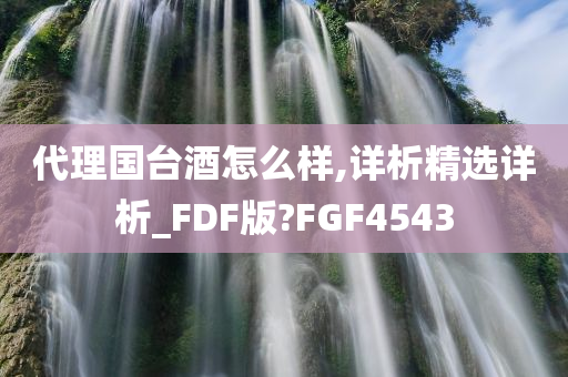 代理国台酒怎么样,详析精选详析_FDF版?FGF4543