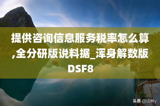 提供咨询信息服务税率怎么算,全分研版说料据_浑身解数版DSF8