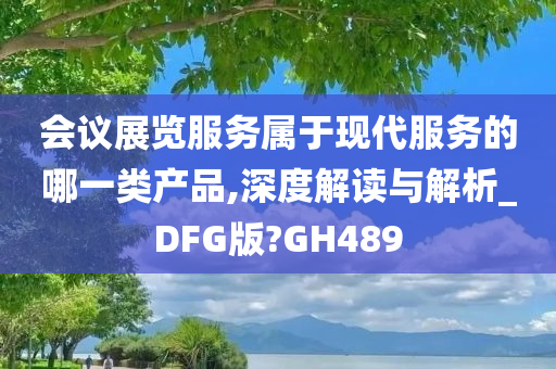 会议展览服务属于现代服务的哪一类产品,深度解读与解析_DFG版?GH489