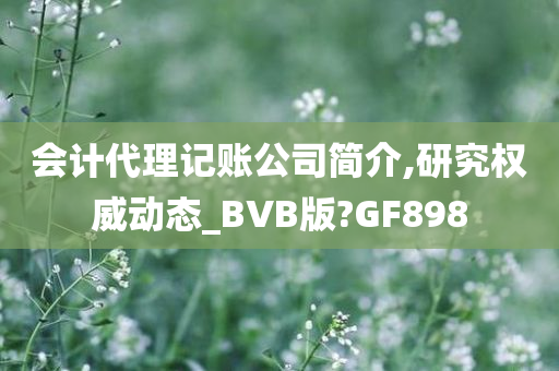 会计代理记账公司简介,研究权威动态_BVB版?GF898