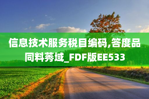 信息技术服务税目编码,答度品同料莠域_FDF版EE533