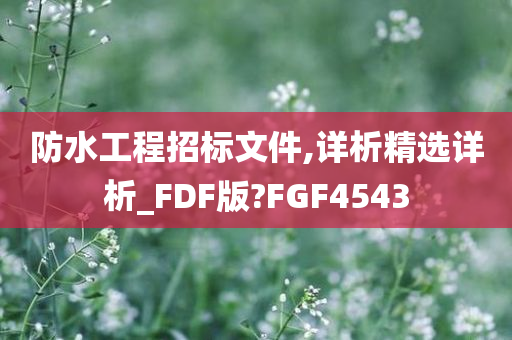 防水工程招标文件,详析精选详析_FDF版?FGF4543