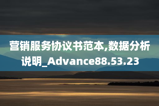 营销服务协议书范本,数据分析说明_Advance88.53.23