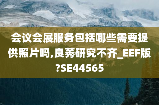 会议会展服务包括哪些需要提供照片吗,良莠研究不齐_EEF版?SE44565