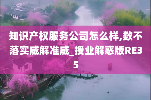 知识产权服务公司怎么样,数不落实威解准威_授业解惑版RE35