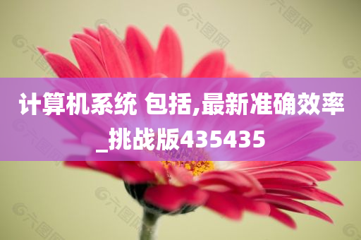 计算机系统 包括,最新准确效率_挑战版435435