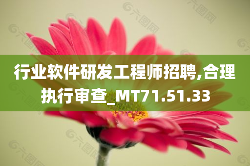 行业软件研发工程师招聘,合理执行审查_MT71.51.33