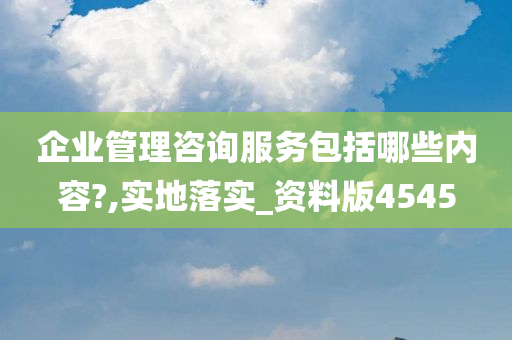 企业管理咨询服务包括哪些内容?,实地落实_资料版4545