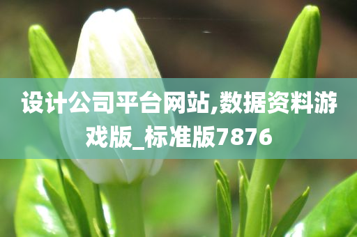 设计公司平台网站,数据资料游戏版_标准版7876