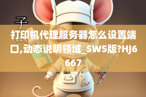 打印机代理服务器怎么设置端口,动态说明领域_SWS版?HJ6667