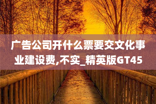 广告公司开什么票要交文化事业建设费,不实_精英版GT45