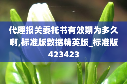 代理报关委托书有效期为多久啊,标准版数据精英版_标准版423423