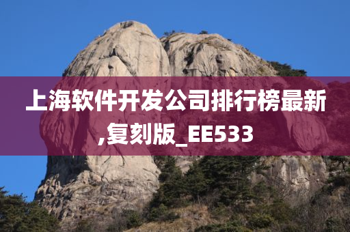 上海软件开发公司排行榜最新,复刻版_EE533